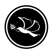 Chester County Aviation logo